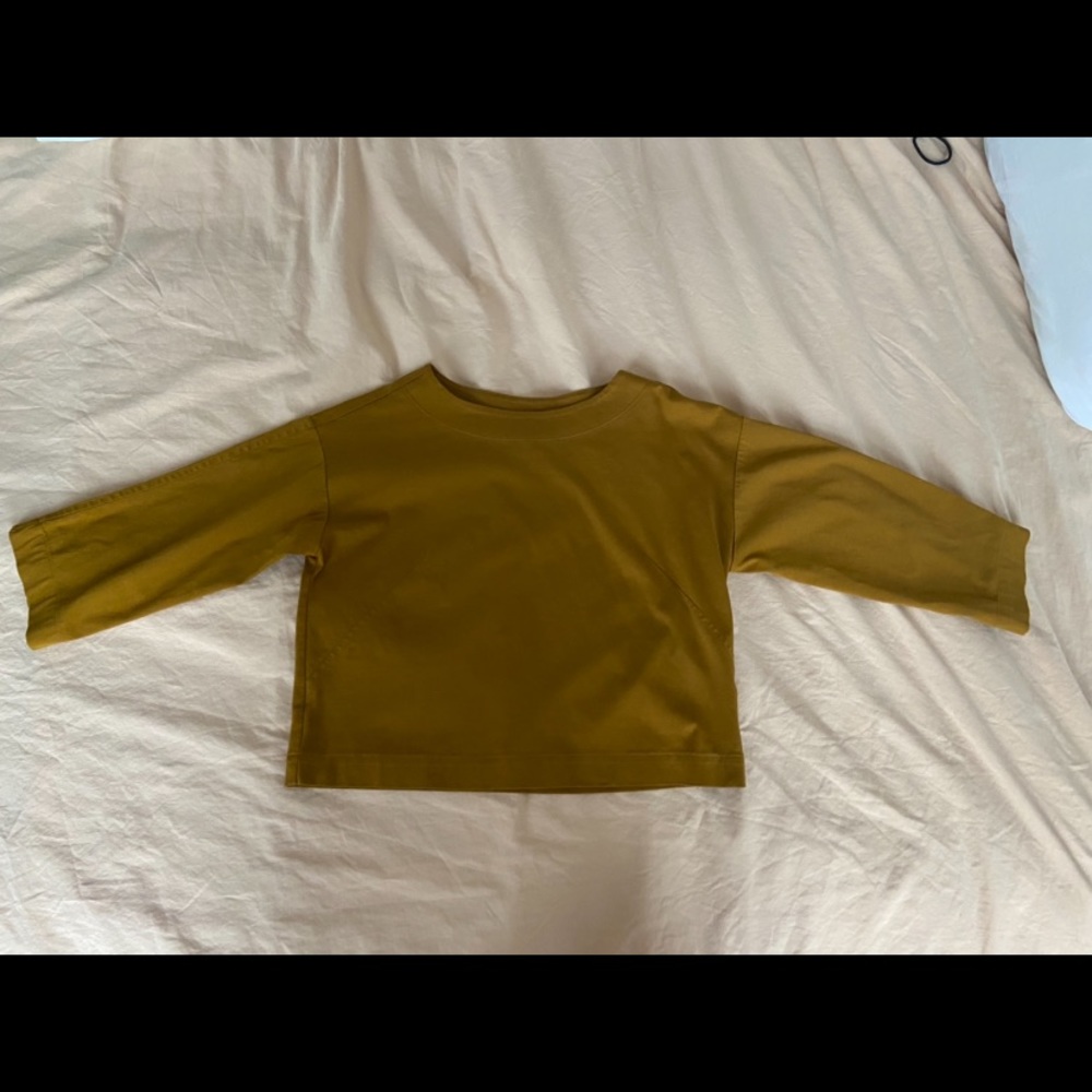XS Everlane Luxe Cotton Crop Tee in Gold